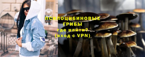 тгк Беломорск