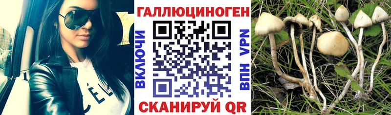 Псилоцибиновые грибы мухоморы  Чекалин 
